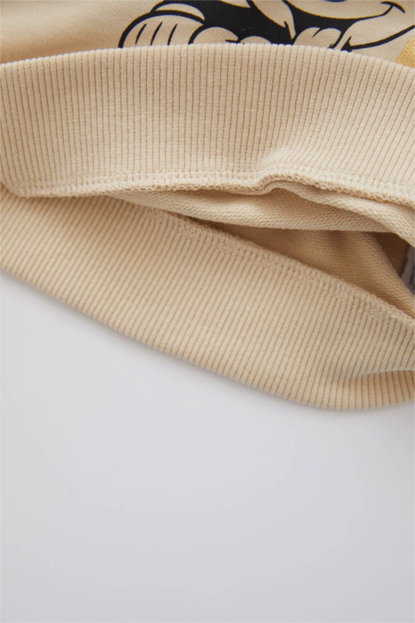 BÉBÉ GARÇON Beige Sweat- Shirt Tissu Sweat Fin Coupe Régulière Col Ras Du Cou Mickey & Minnie (Standard Characters)
