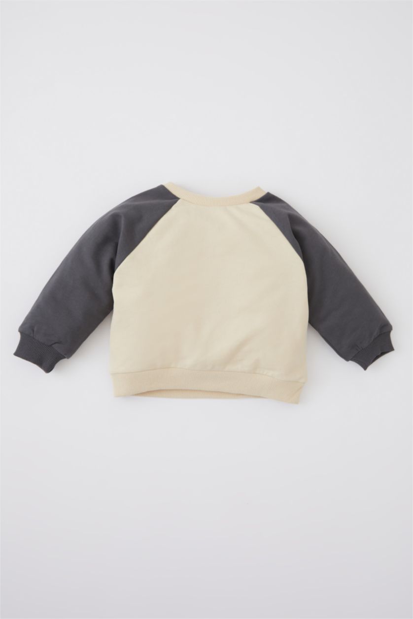 BÉBÉ GARÇON Beige Sweat- Shirt Tissu Sweat Fin Coupe Régulière Col Ras Du Cou Mickey & Minnie (Standard Characters)