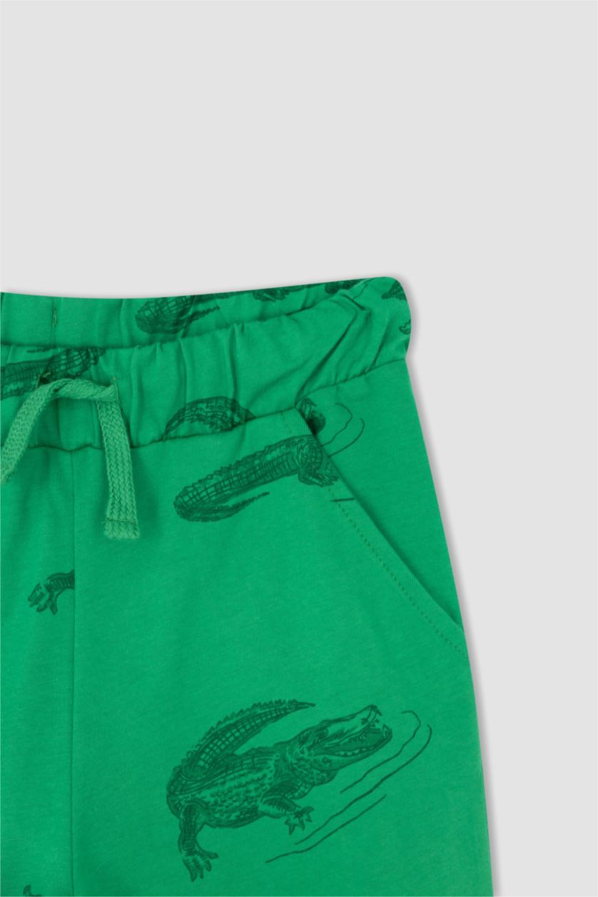 GARÇONS Vert Short garçon coupe regular en coton peigné