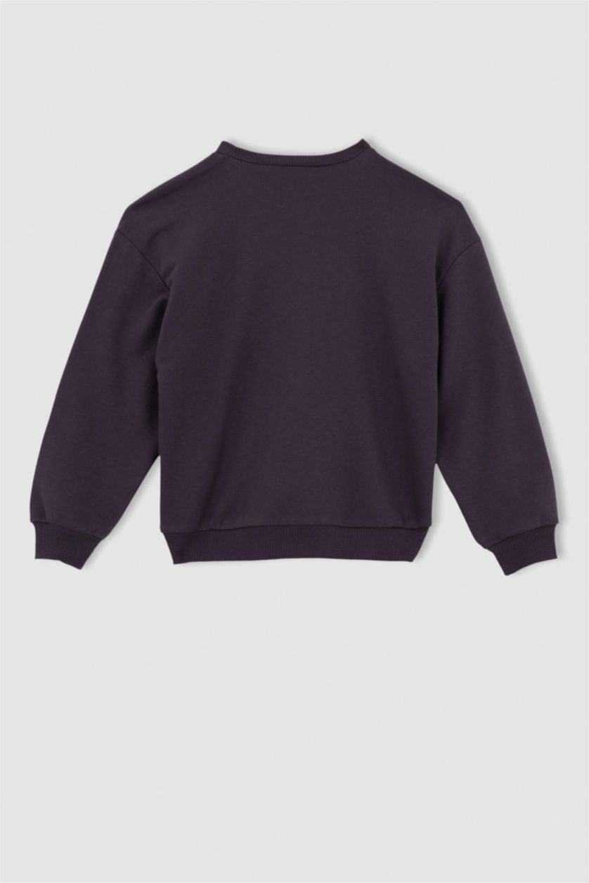 بناتي أنثرا سويت شيرت بناتي قصة عادية مرخص من هاري بوتر