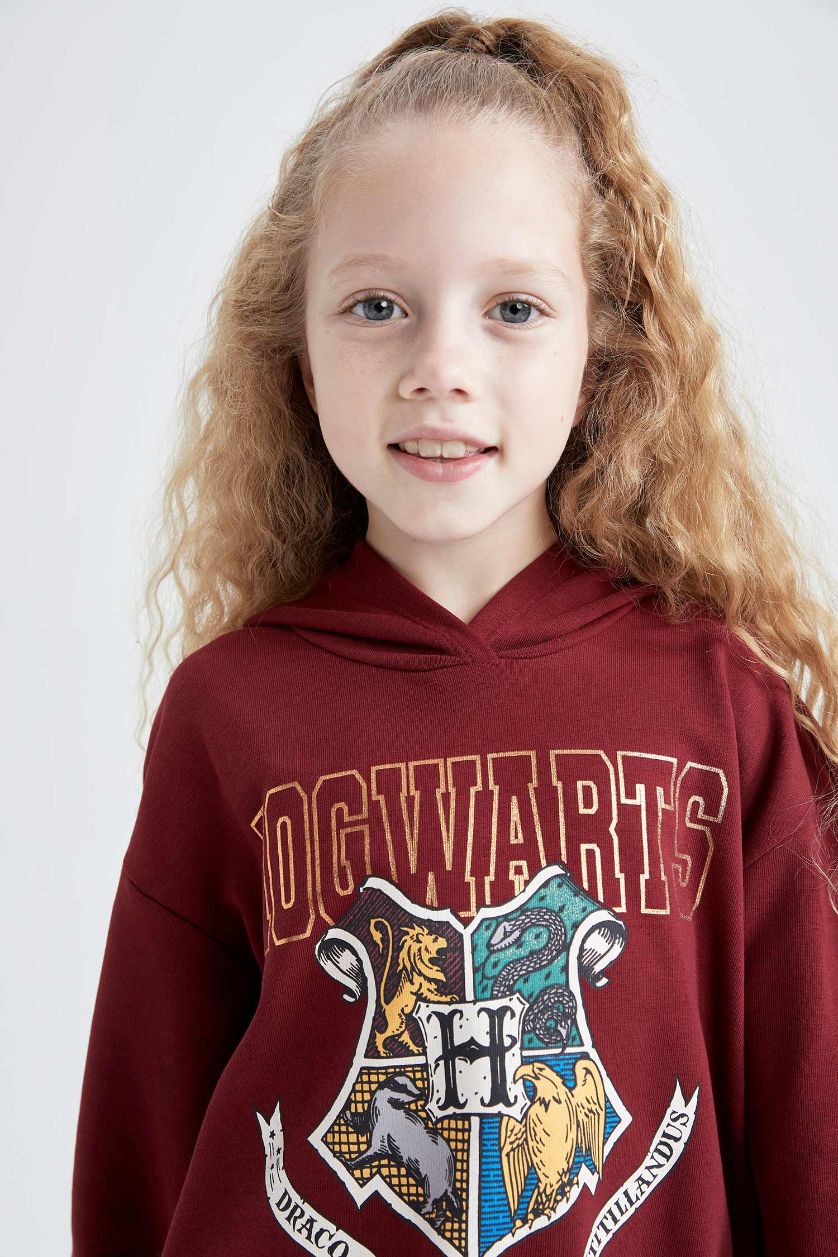 GIRLS & TEENS Dark Bordeaux Regular Fit Harry Potter Licensed Sweatshirt