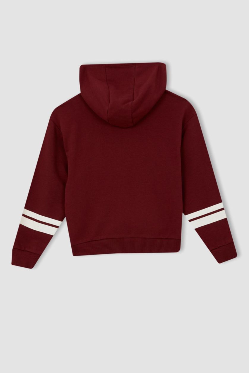 GIRLS & TEENS Dark Bordeaux Regular Fit Harry Potter Licensed Sweatshirt