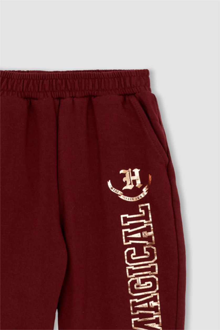 GIRLS & TEENS Dark Bordeaux Regular Fit Trousers