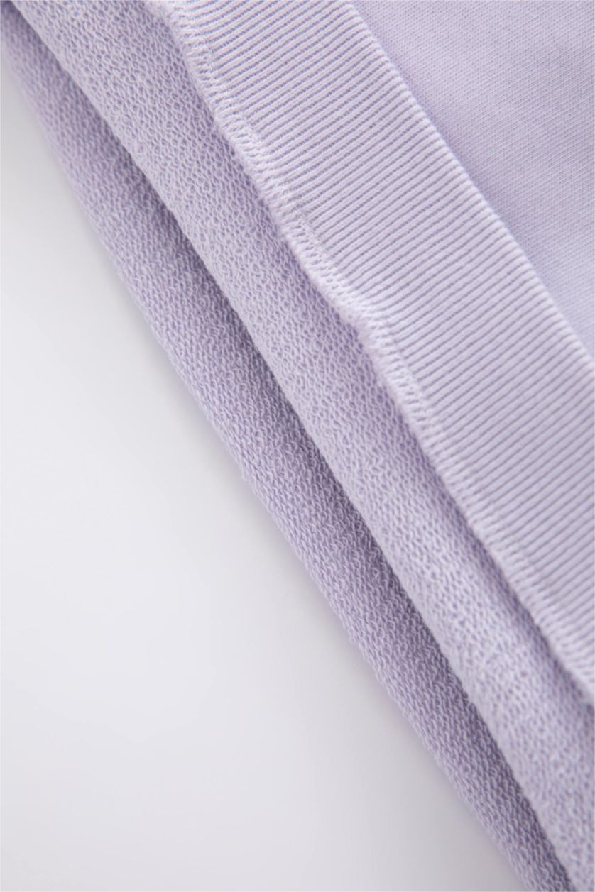 BABY BOY Lilac Regular Fit Crew Neck Sweatshirt