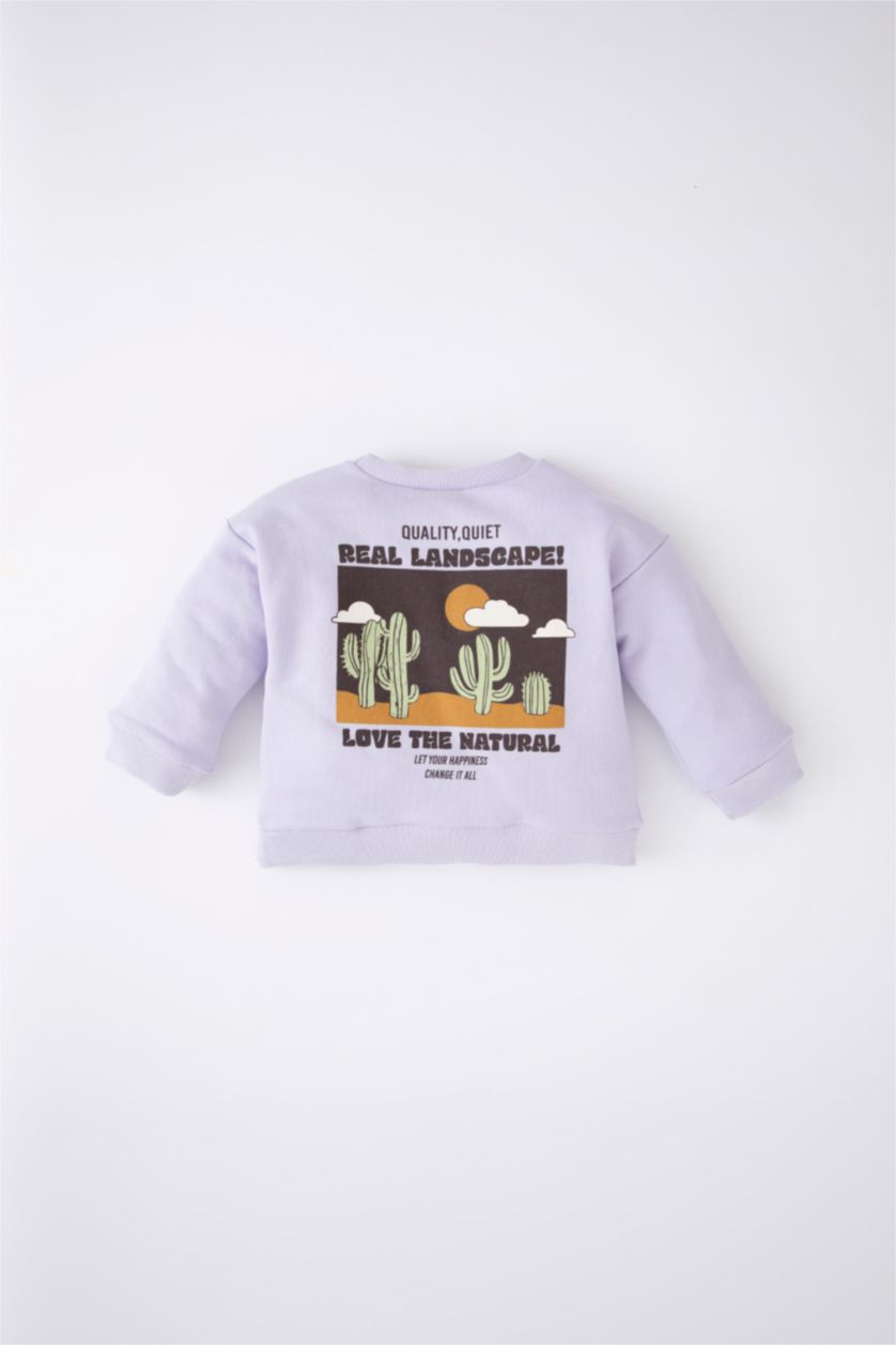BABY BOY Lilac Regular Fit Crew Neck Sweatshirt