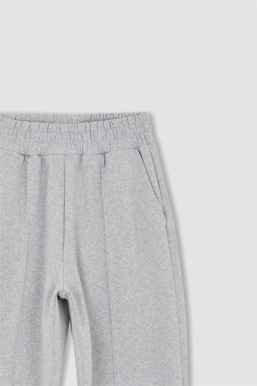 FEMME Gris Standard Fit Trousers