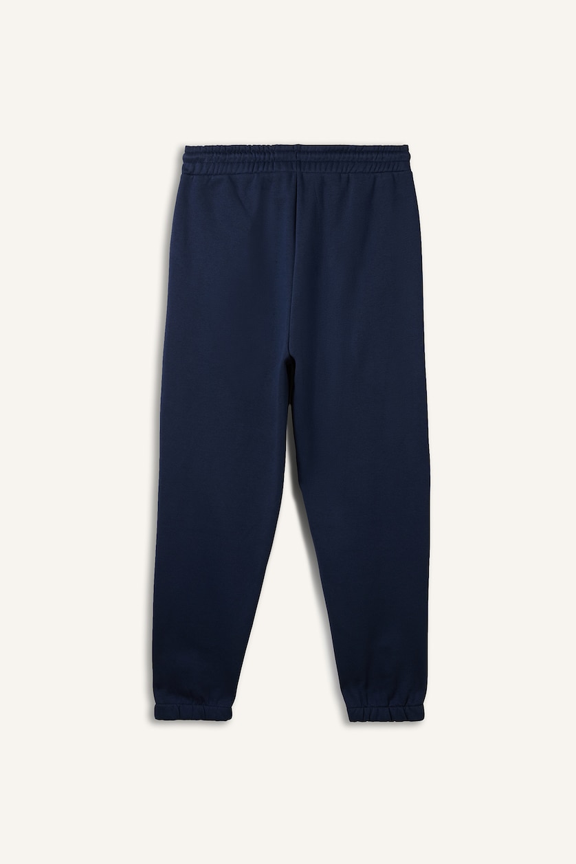Erkek Lacivert Regular Fıt Jogger