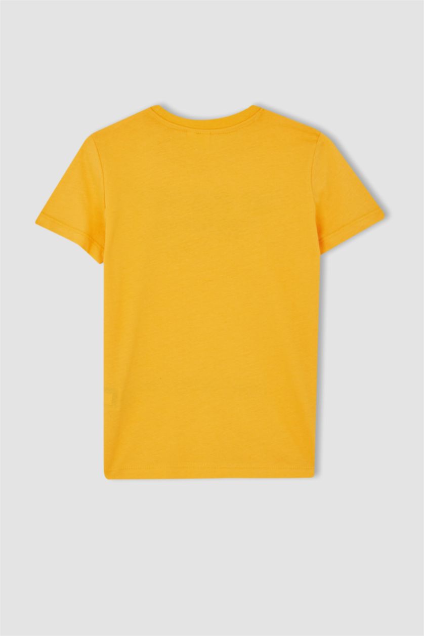 BOYS & TEENS Yellow 2 piece Regular Fit Set