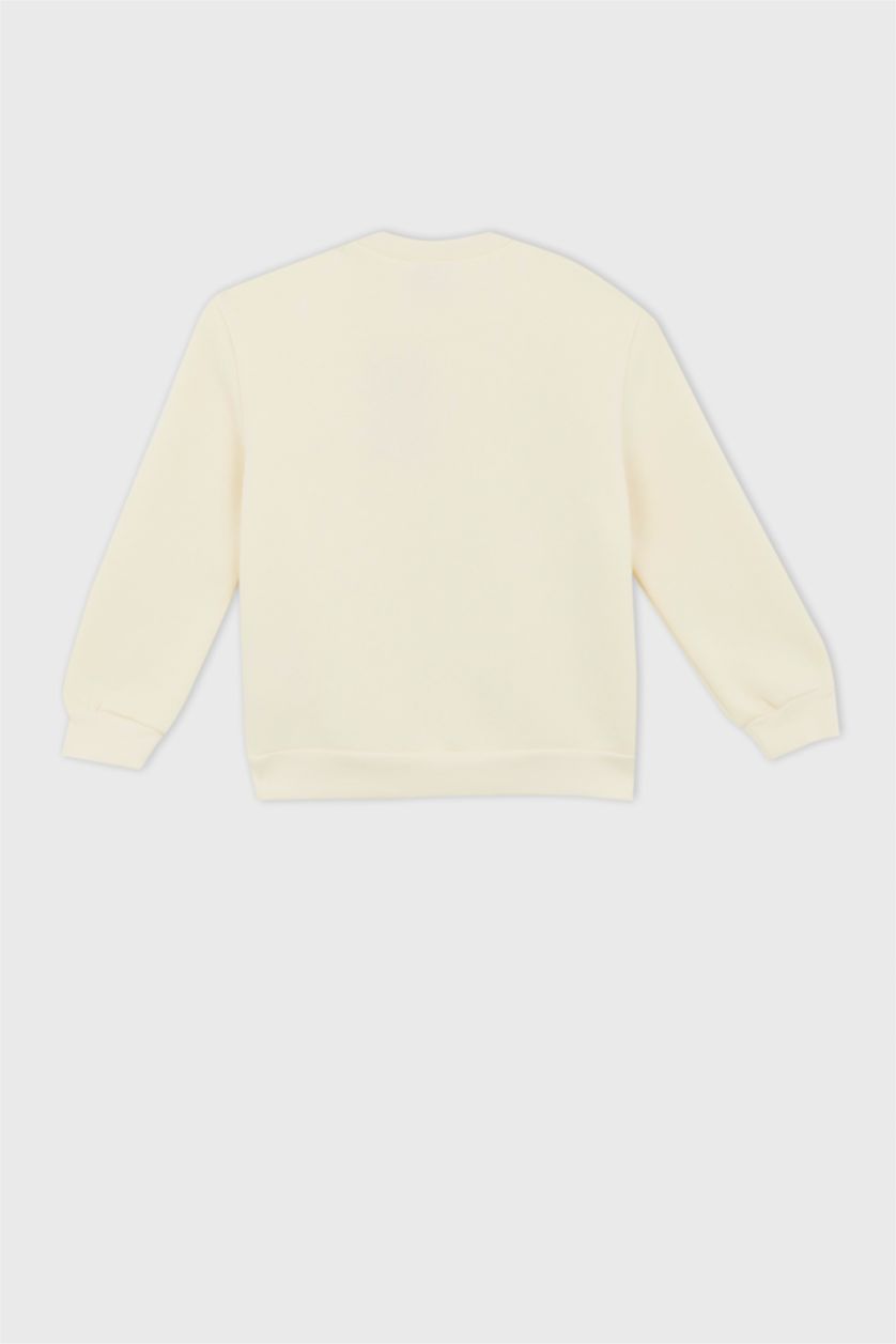 بنات بيج فاتح سويت شيرت بناتي قصة عادية من Disney Princess