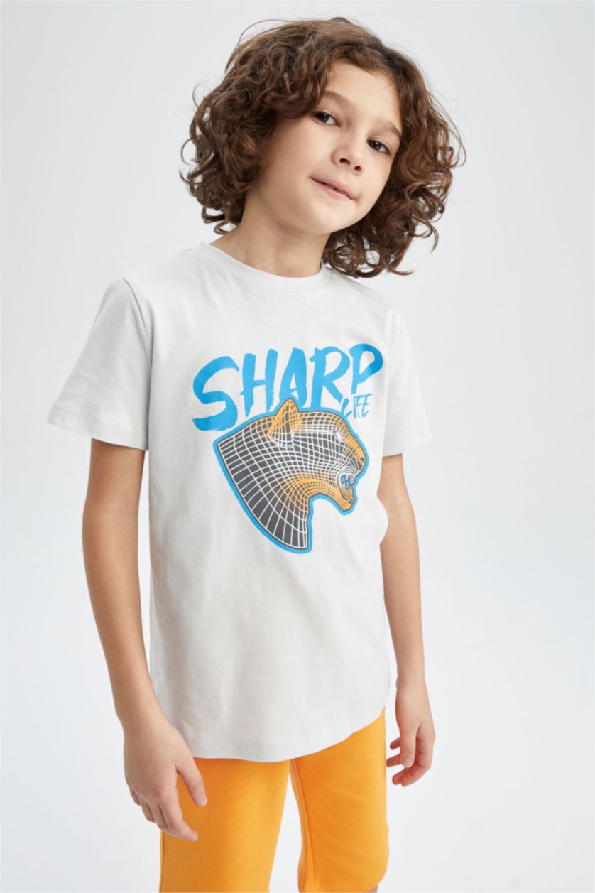 Мальчики и подростки Светло-серый Футболка с коротким рукавом с принтом для мальчиков