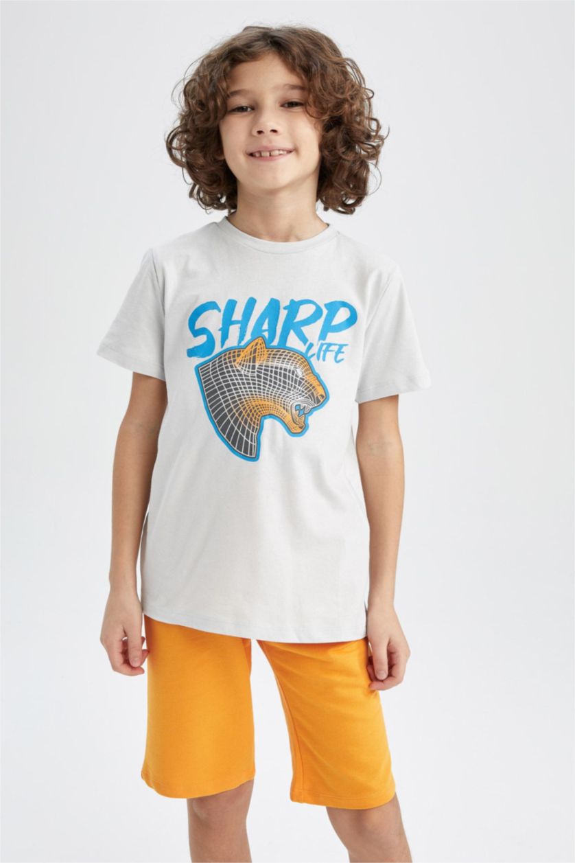 Мальчики и подростки Светло-серый Футболка с коротким рукавом с принтом для мальчиков