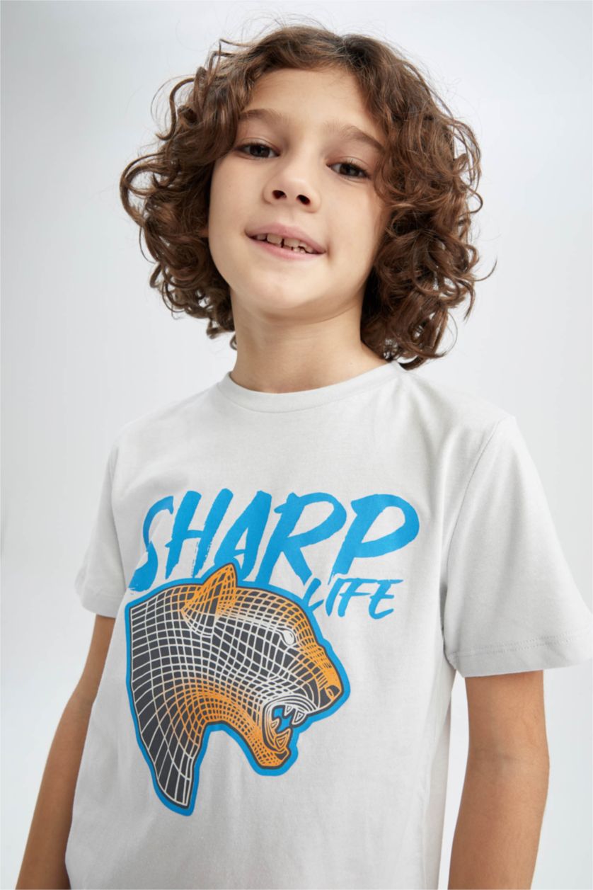 Мальчики и подростки Светло-серый Футболка с коротким рукавом с принтом для мальчиков