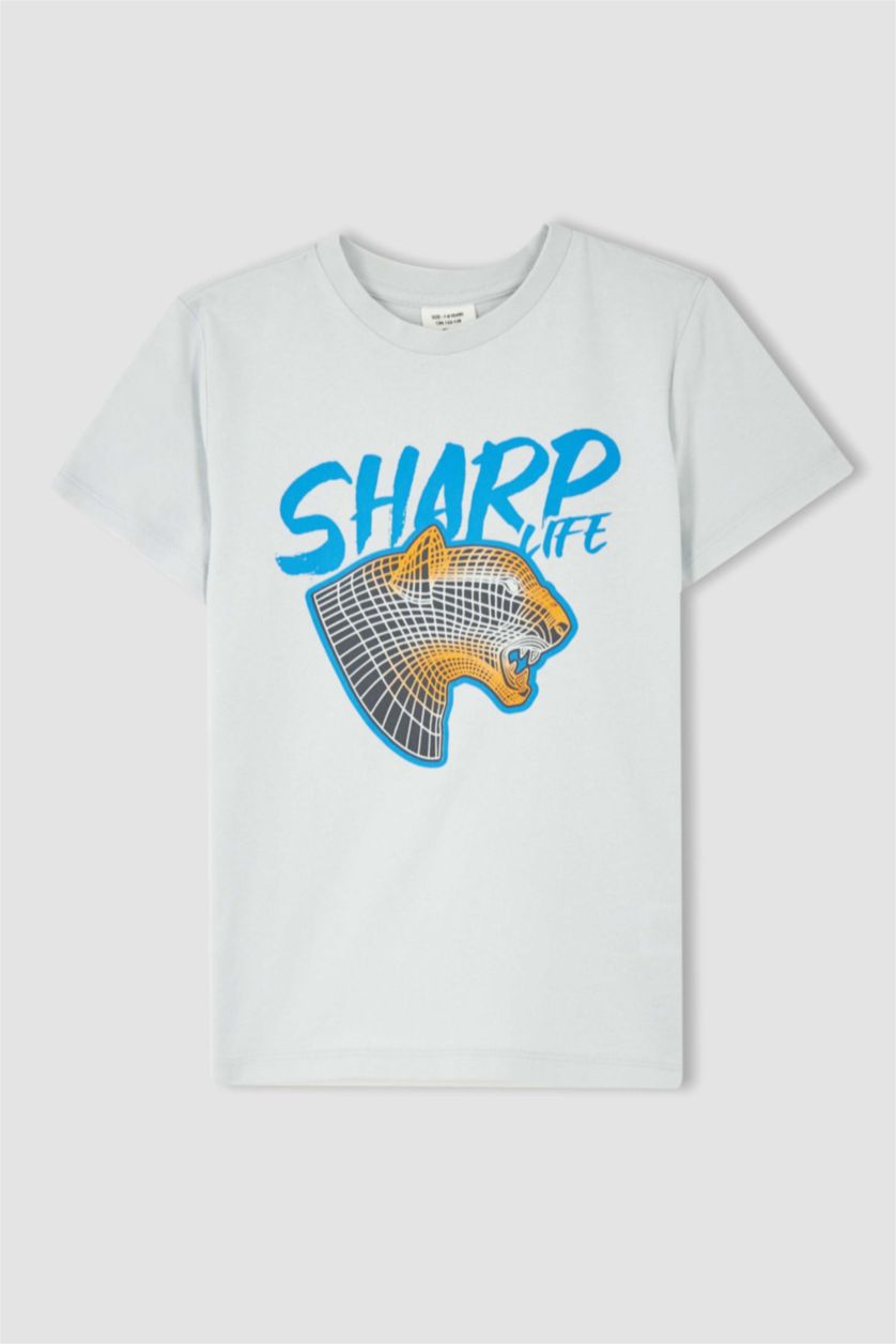 Мальчики и подростки Светло-серый Футболка с коротким рукавом с принтом для мальчиков