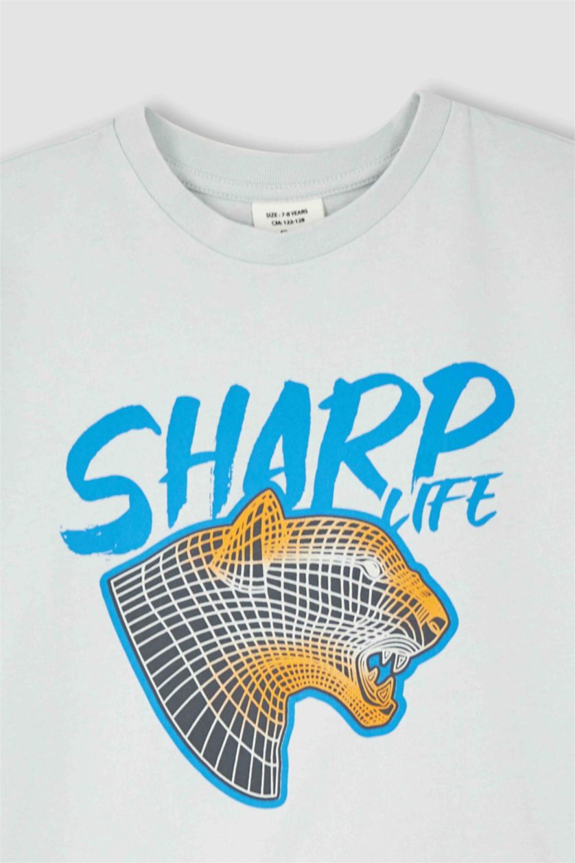 Мальчики и подростки Светло-серый Футболка с коротким рукавом с принтом для мальчиков