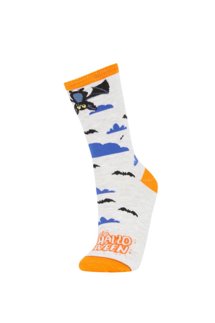 Kadın Karma Kadın Hallowen Temalı 2'li Pamuklu Uzun Çorap