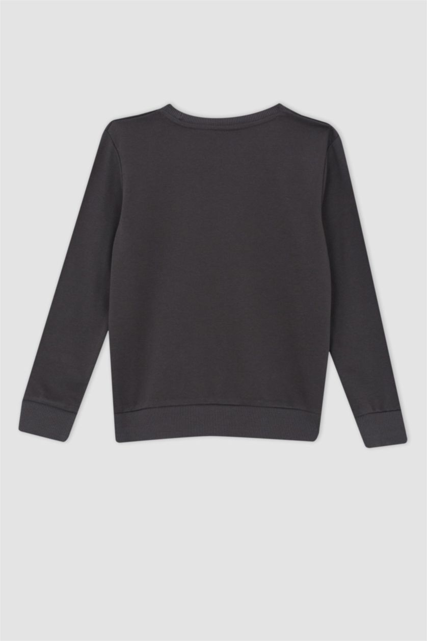 Erkek Çocuk - Genç Erkek Antrasit Erkek Çocuk Bisiklet Yaka Sweatshirt