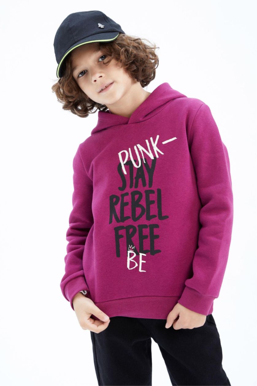 BOYS & TEENS Purple Regular Fit Hooded Sweatshirt