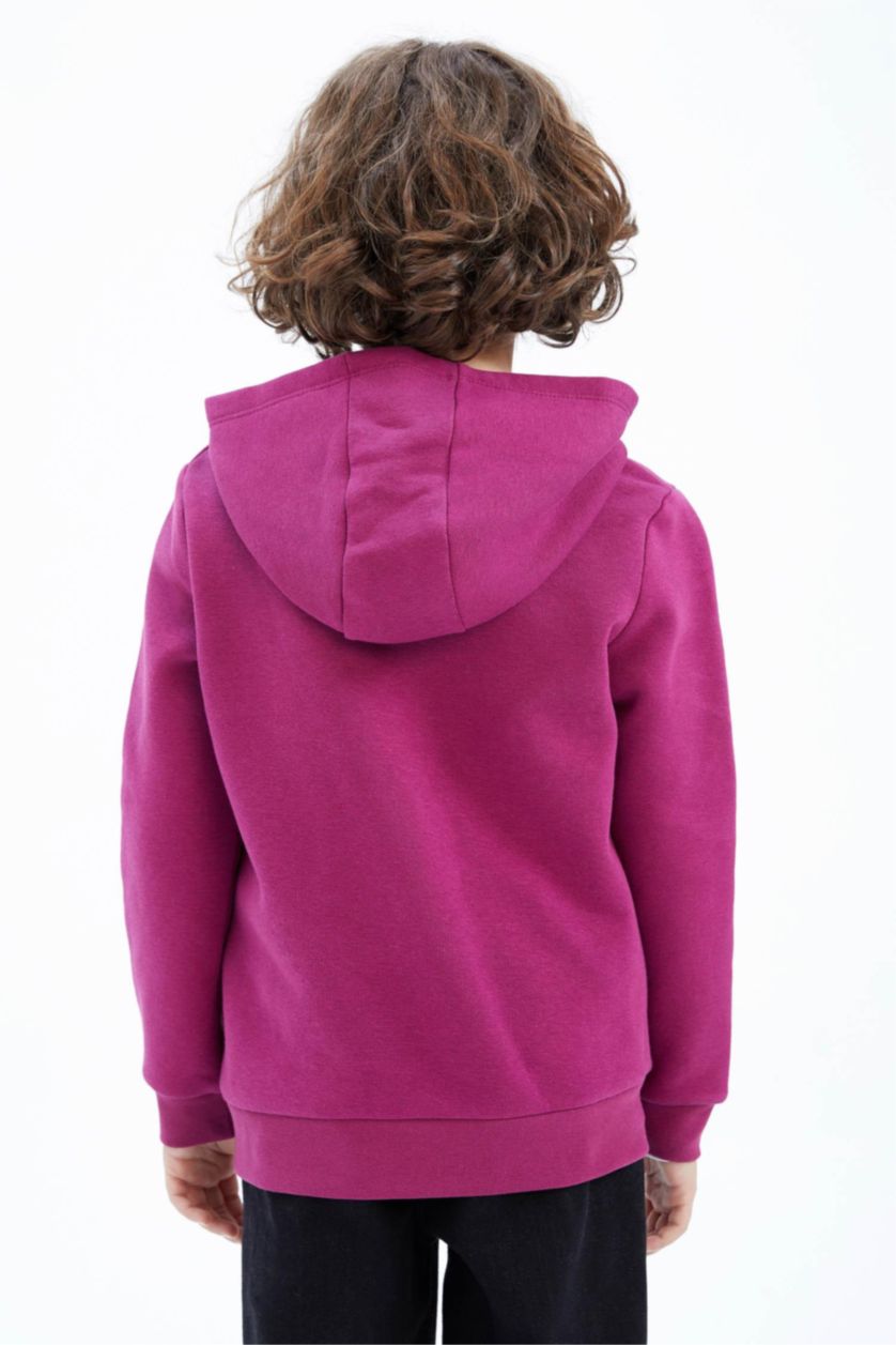 BOYS & TEENS Purple Regular Fit Hooded Sweatshirt