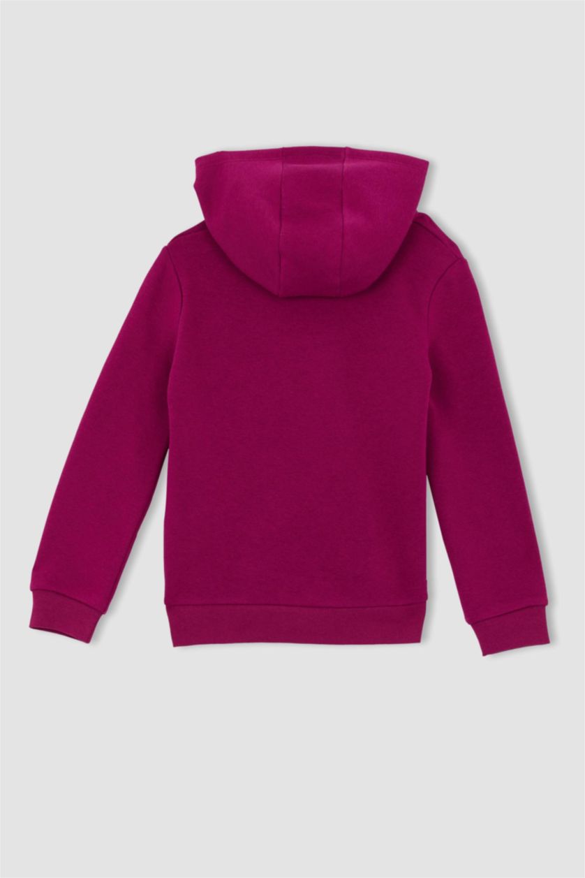 BOYS & TEENS Purple Regular Fit Hooded Sweatshirt