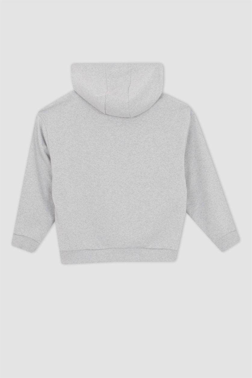 Дівчачий Сірий меланж Світшот свободного крою Looney Tunes для дівчаток