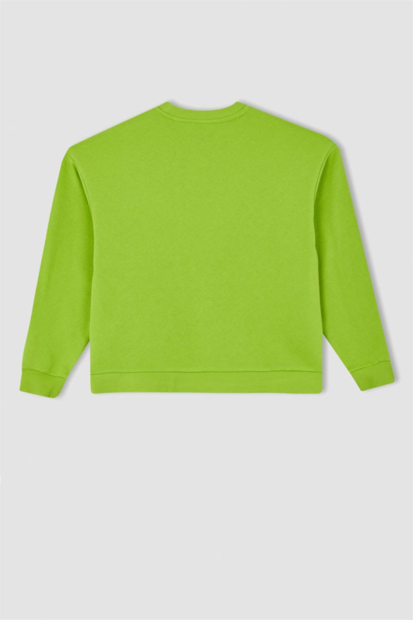 WOMAN Green Regular Fit Thick Sweatshirt Fabric Sweatshirt