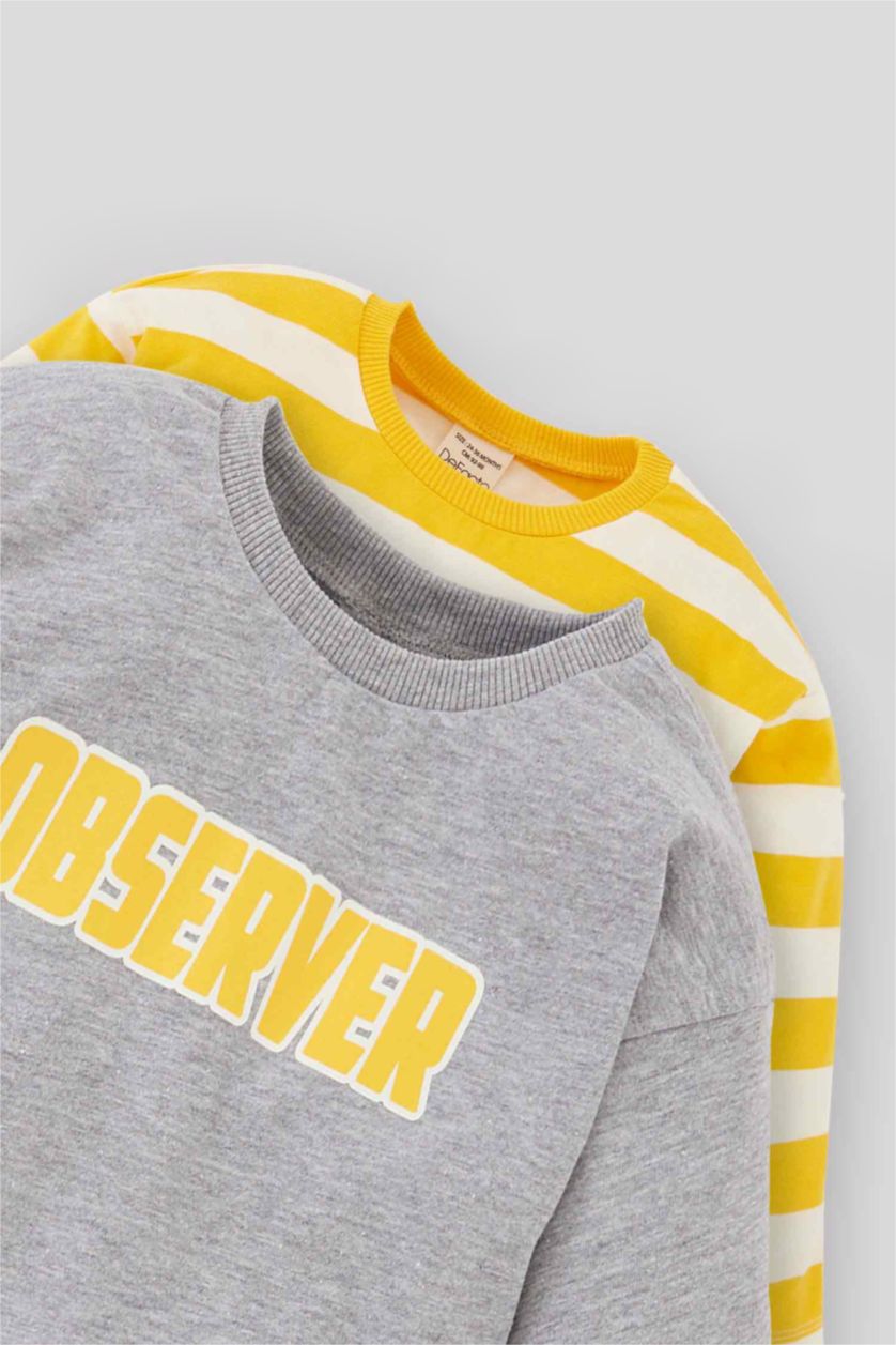 BABY BOY Light Grey Melange 2 piece Regular Fit Striped Long Sleeve T-Shirt