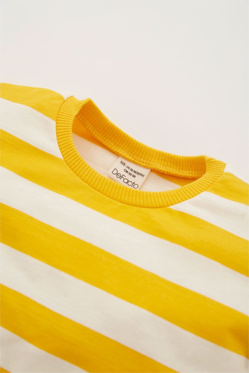 BABY BOY Light Grey Melange 2 piece Regular Fit Striped Long Sleeve T-Shirt