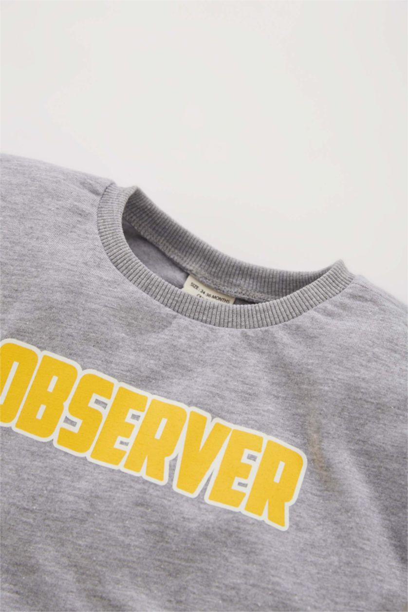 BABY BOY Light Grey Melange 2 piece Regular Fit Striped Long Sleeve T-Shirt
