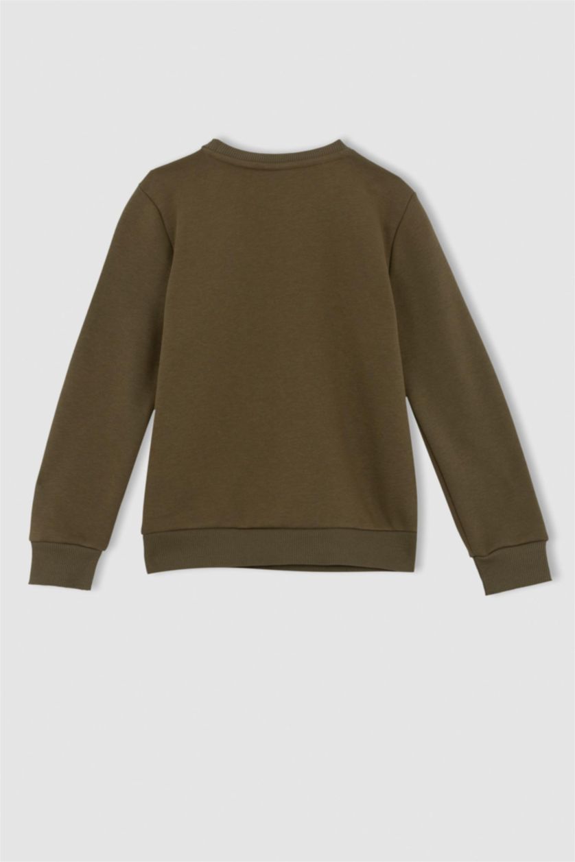 Boys & Teens Khaki Regular Fit Crew Neck Sweatshirt