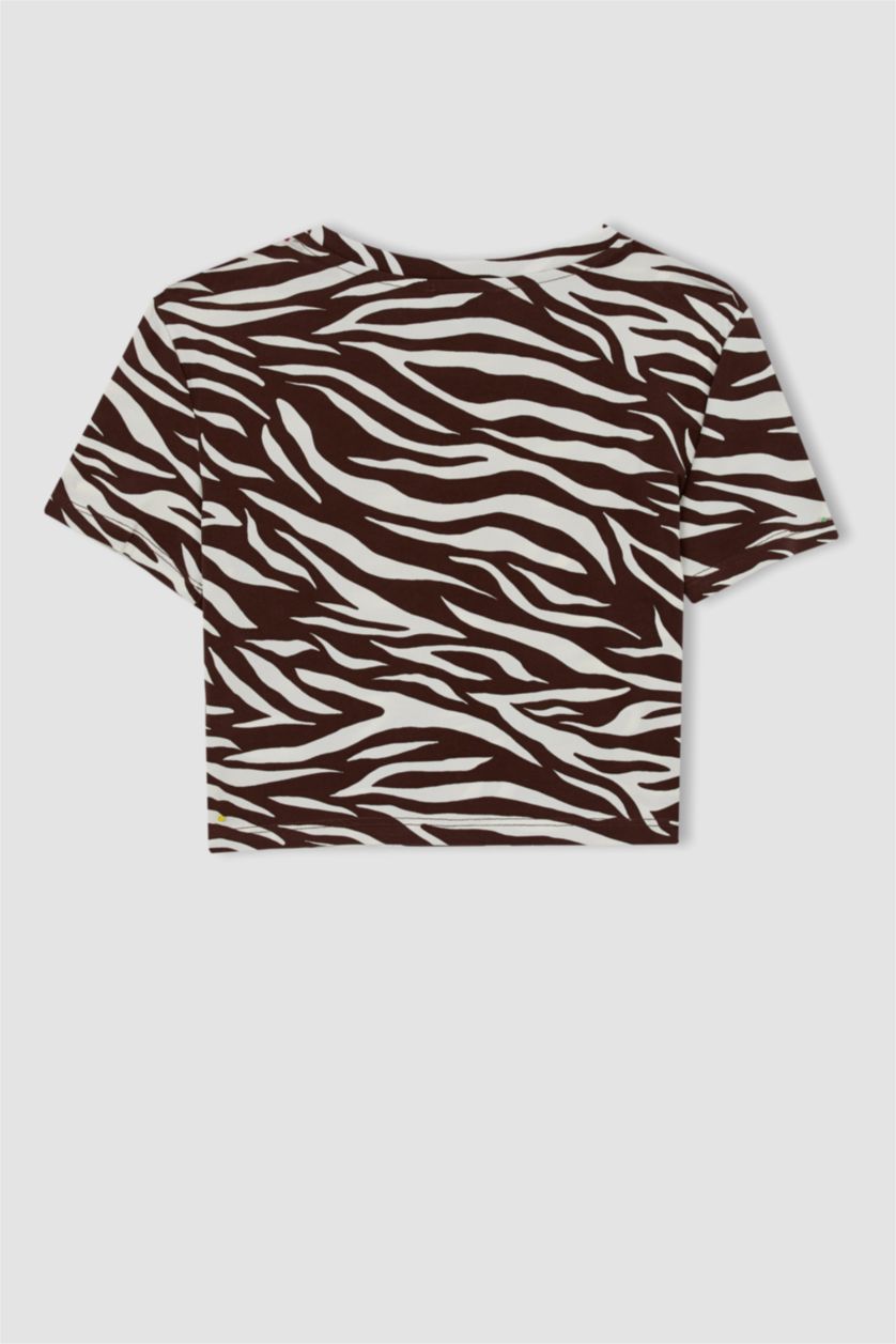 WOMAN Brown Slim Fit Crew Neck Zebra Patterned Short Sleeve Crop T-Shirt
