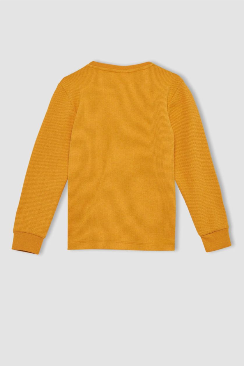 BOYS & TEENS Açık Sarı 2 piece Regular Fit Knitted Pyjamas