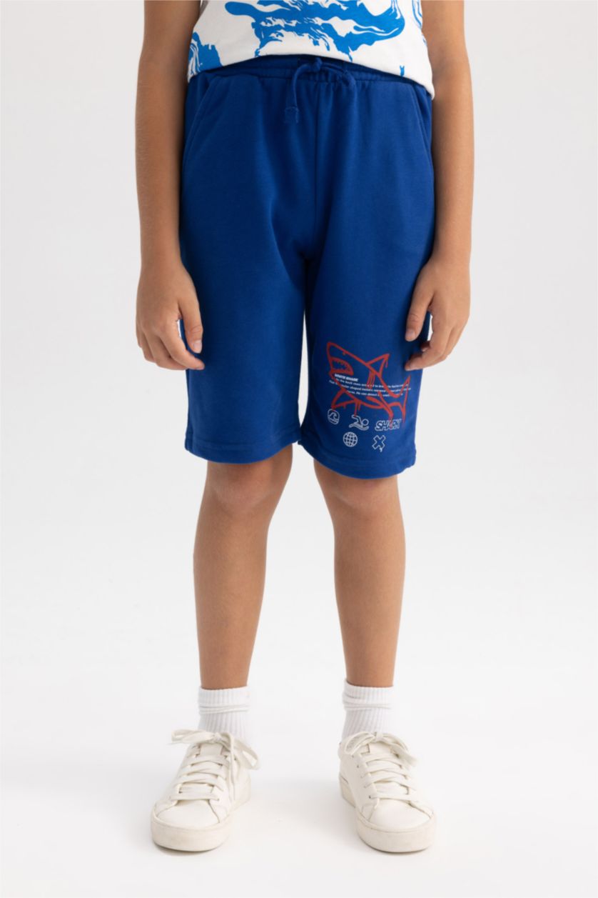 Boys & Teens Blue Regular Fit Shorts