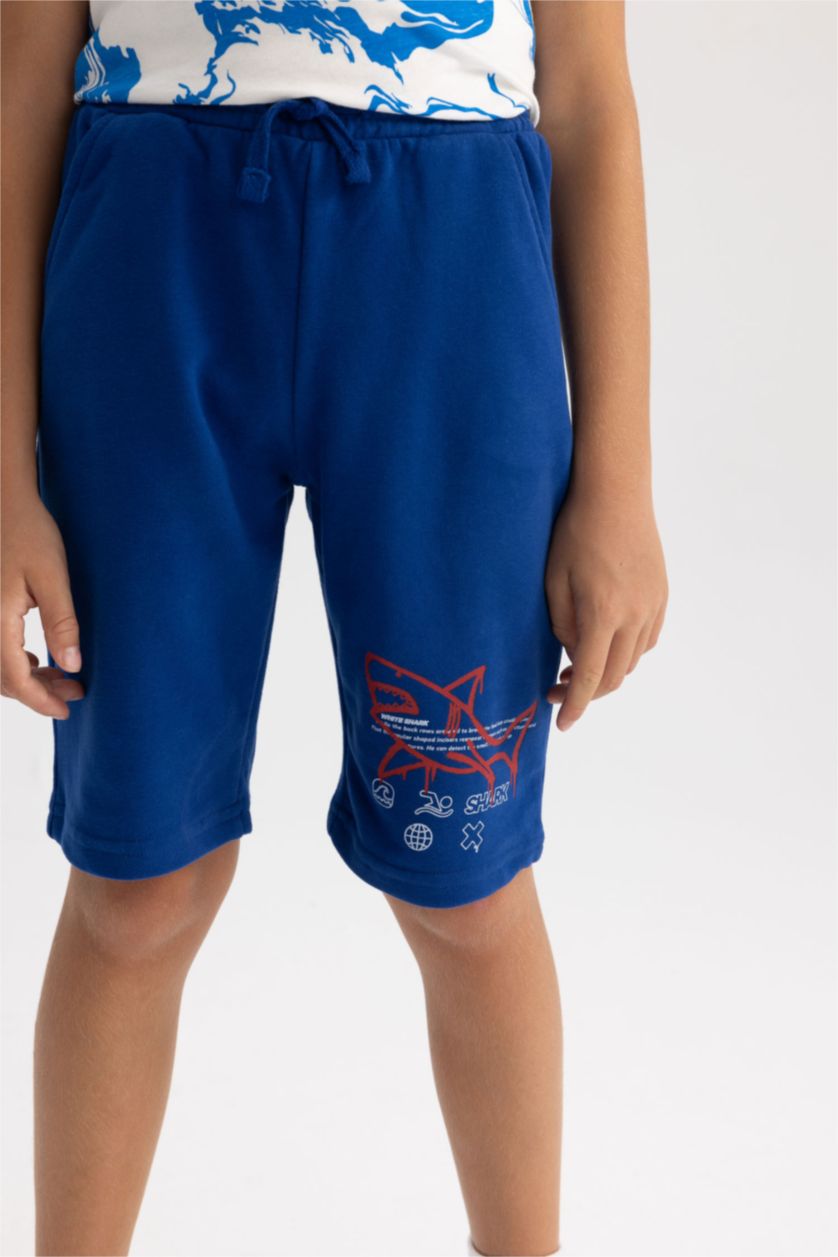 Boys & Teens Blue Regular Fit Shorts
