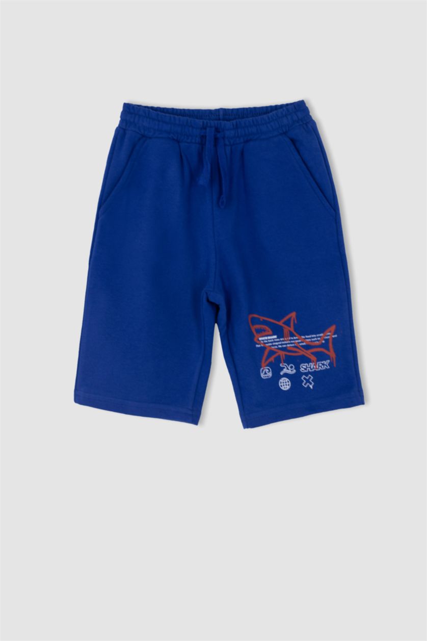 Boys & Teens Blue Regular Fit Shorts