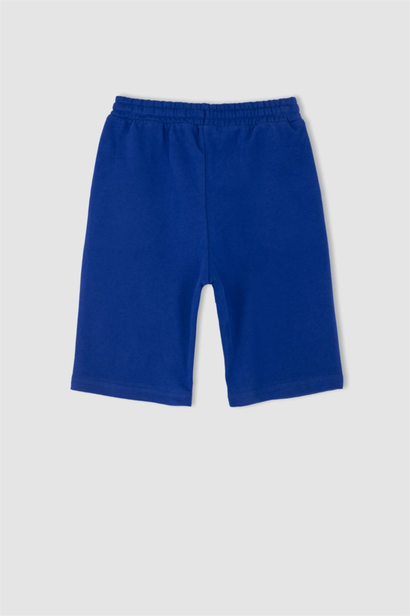 Boys & Teens Blue Regular Fit Shorts