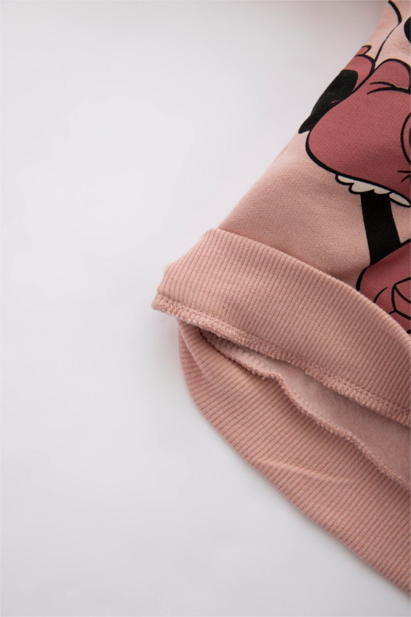 BÉBÉ FILLE Bordeaux Ensemble 2 Pièces Fille Regular Fit, Manches Longues, Col Rond Mickey Et Minnie