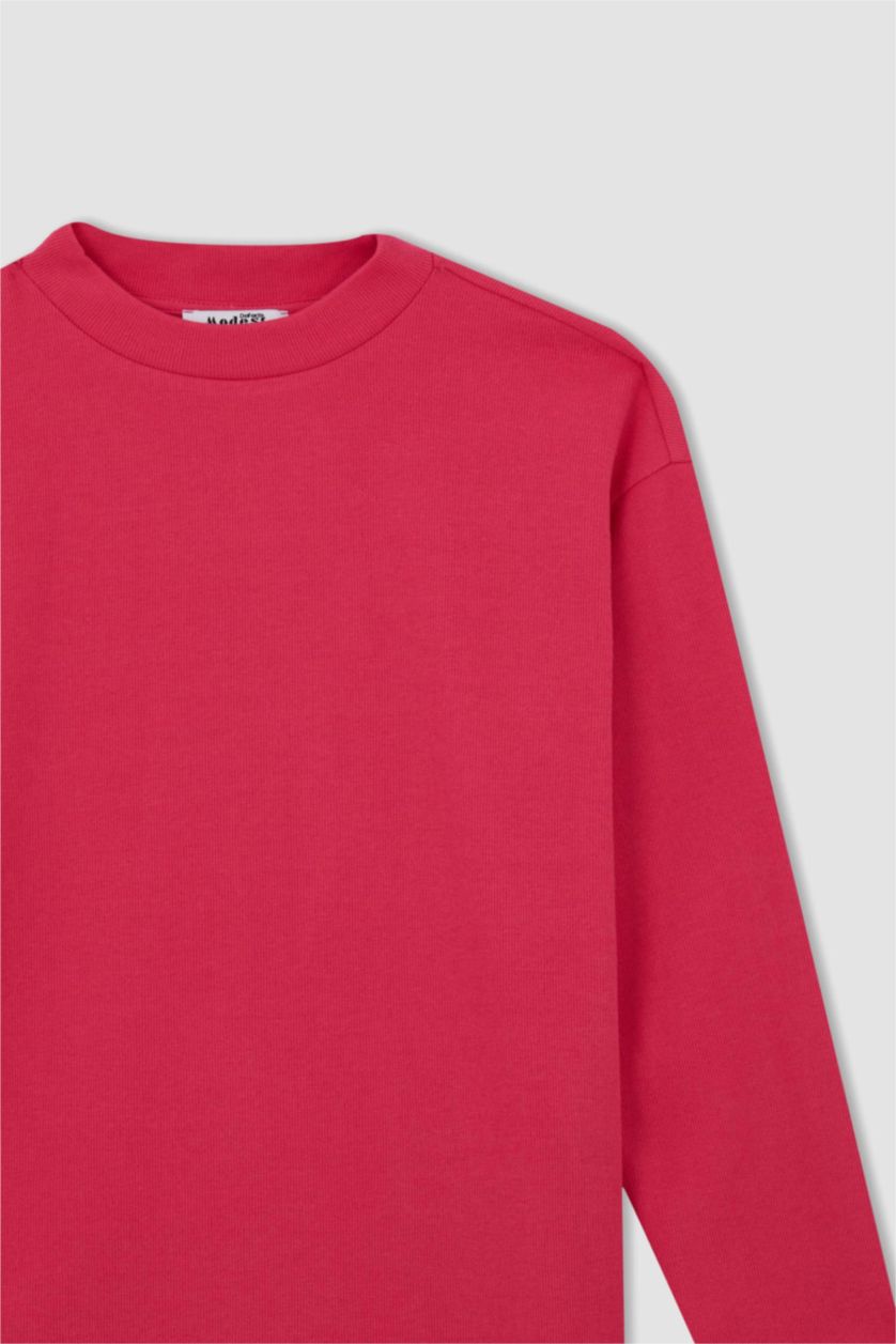 Woman Fushsia Regular Fit Fabric Long Sleeve Tunic