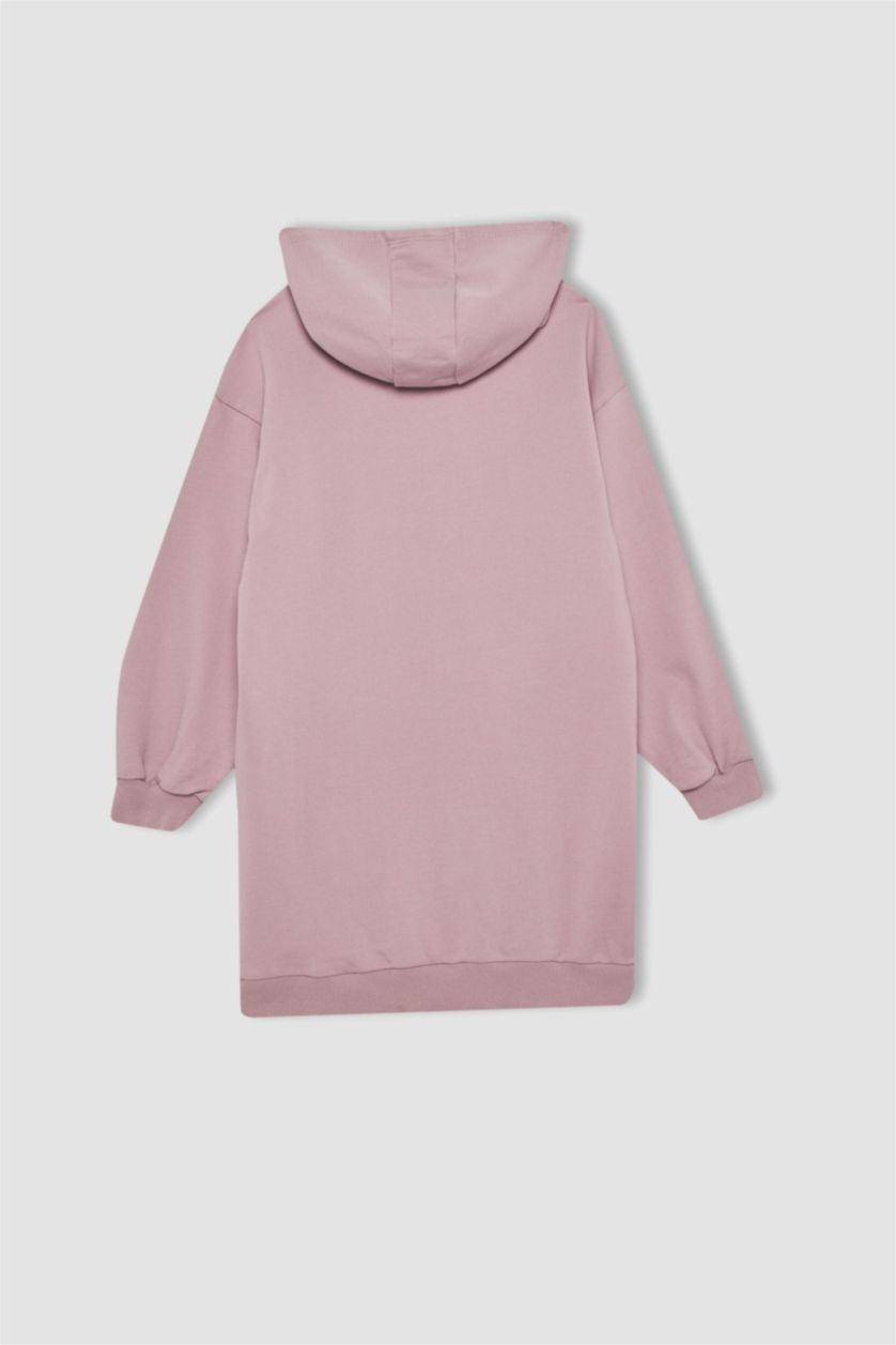 GIRLS & TEENS Pink Girl Printed Hooded Sweatshirt Dress