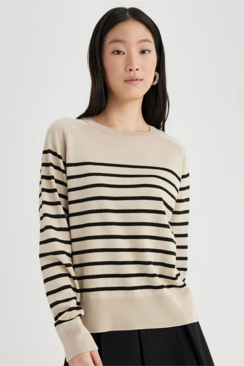 Women Stone Regular Fit Knitwear Pullover
