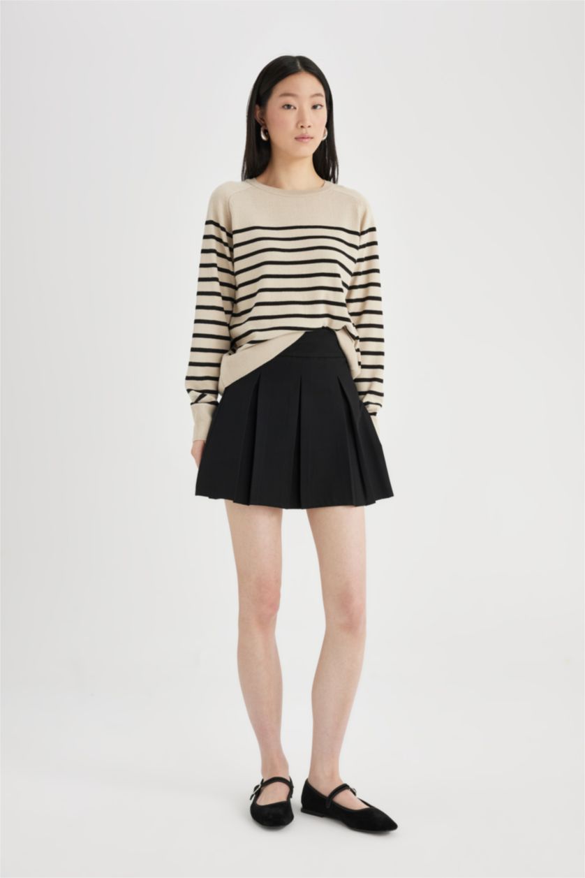Women Stone Regular Fit Knitwear Pullover