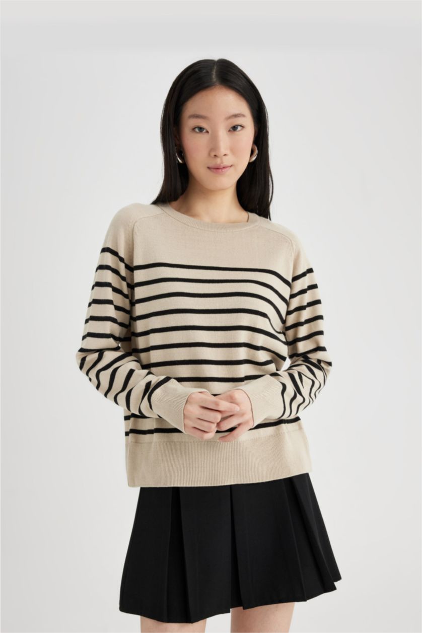 Women Stone Regular Fit Knitwear Pullover