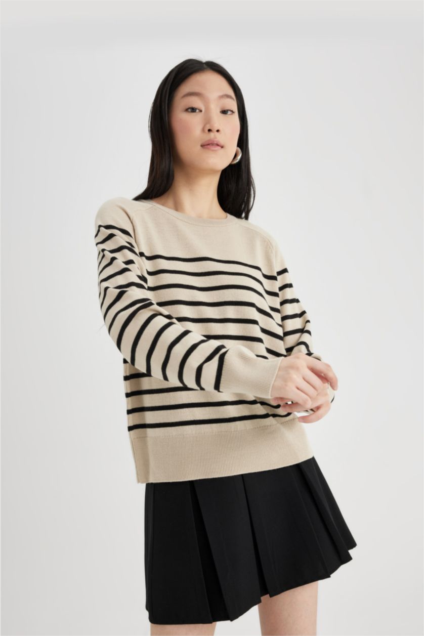 Women Stone Regular Fit Knitwear Pullover
