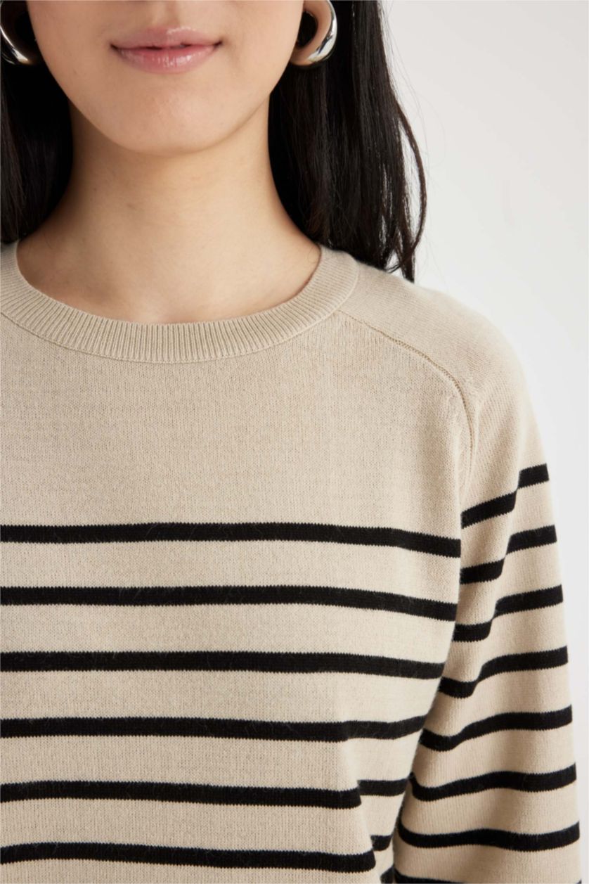 Women Stone Regular Fit Knitwear Pullover