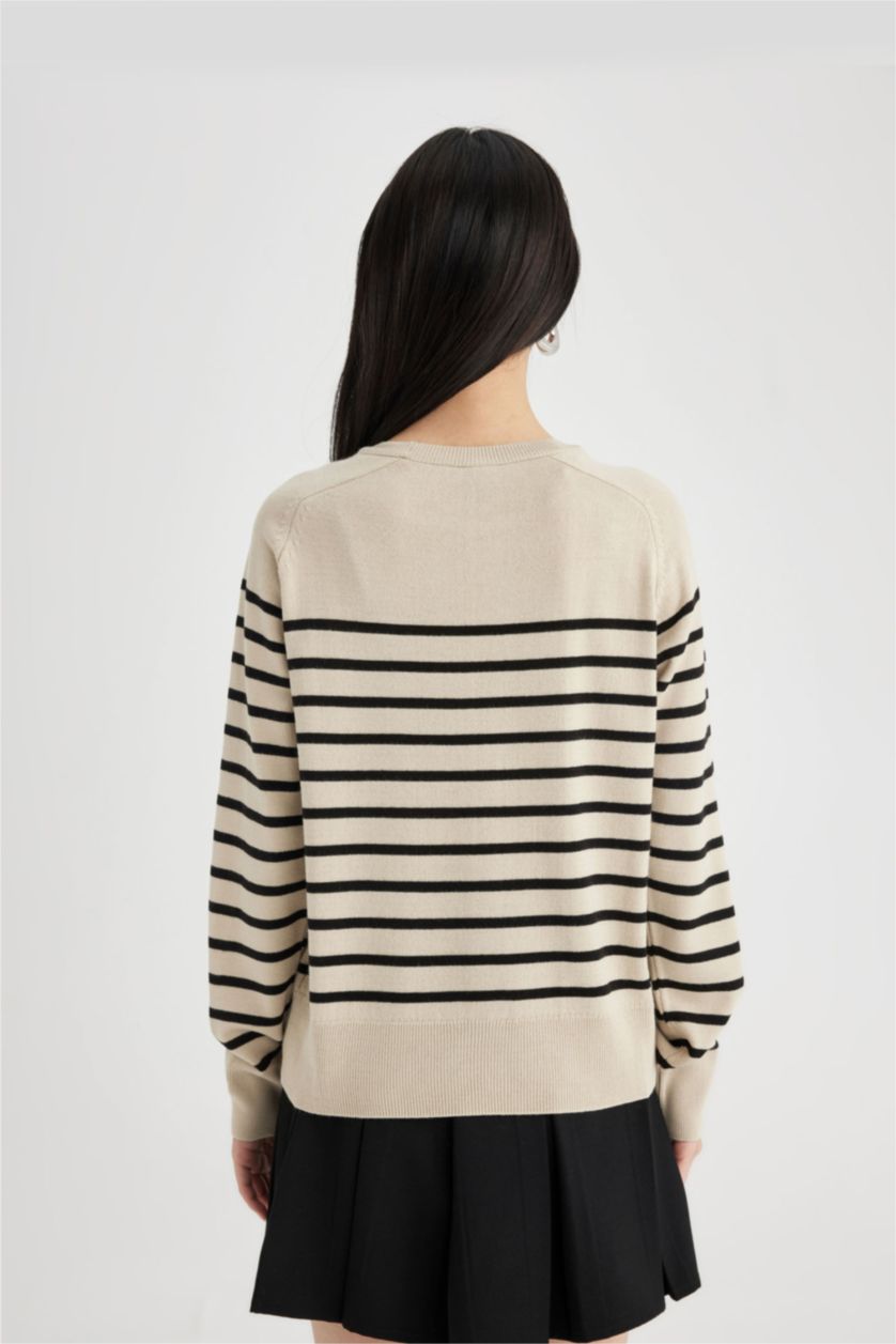 Women Stone Regular Fit Knitwear Pullover