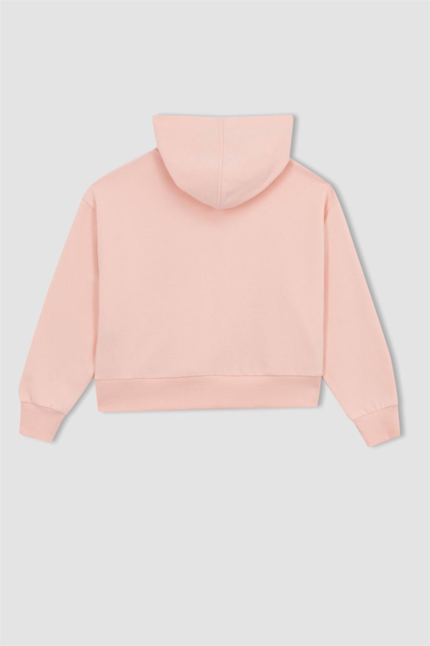 FEMME Rose Sweat à capuche NBA New York Knicks de DeFactoFit pour homme