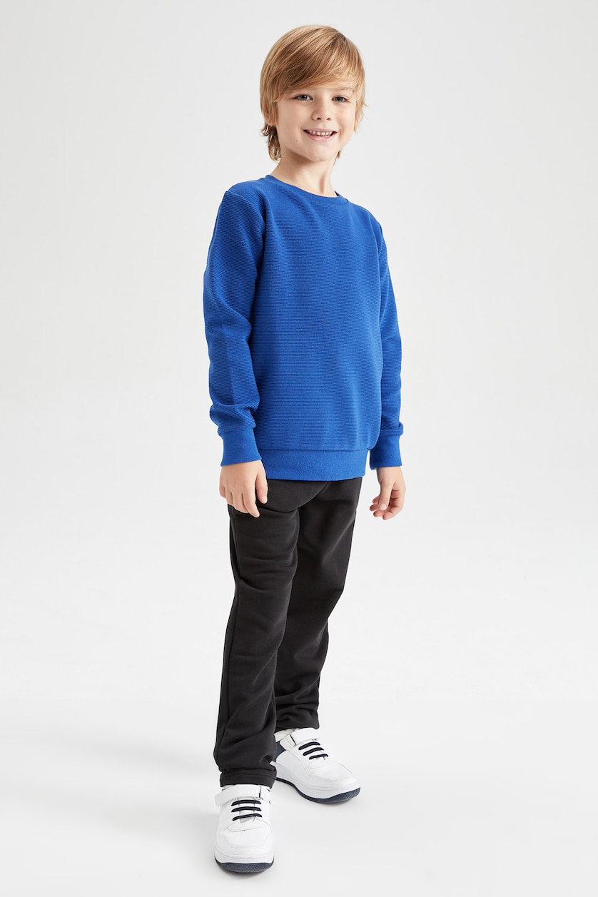 Boys & Teens Royal Boy Regular Fit Crew Neck Reversible Sweatshirt