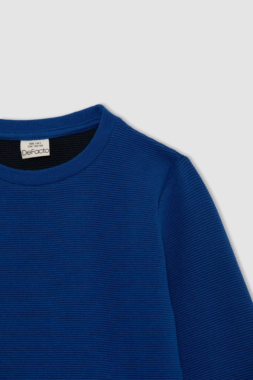 Boys & Teens Royal Boy Regular Fit Crew Neck Reversible Sweatshirt