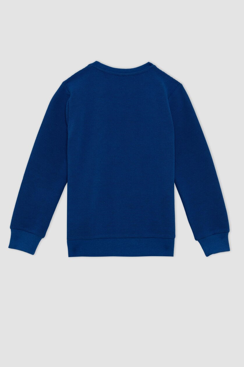 Boys & Teens Royal Boy Regular Fit Crew Neck Reversible Sweatshirt