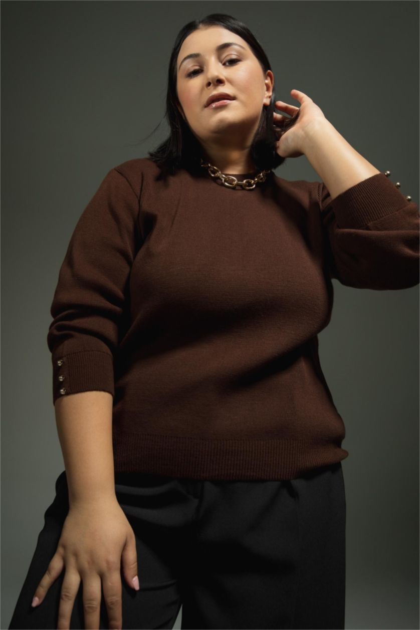 WOMAN Brown Regular Fit Crew Neck Pullover