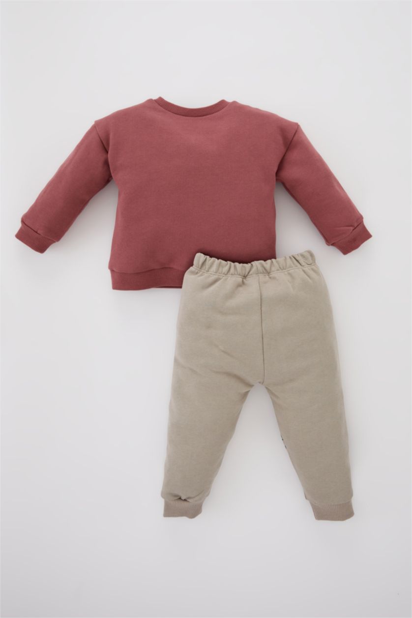 Baby Boy Light Bordeaux 2 piece Regular Fit Crew Neck Animal Set